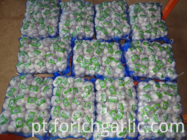 High Quality Normal White Garlic 2019